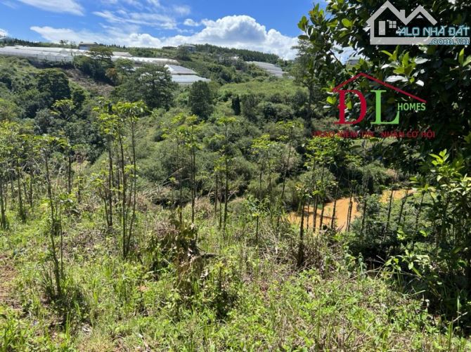 Bán đất mặt tiền Cam Ly phường 7 Đà Lạt view thung lũng - 3