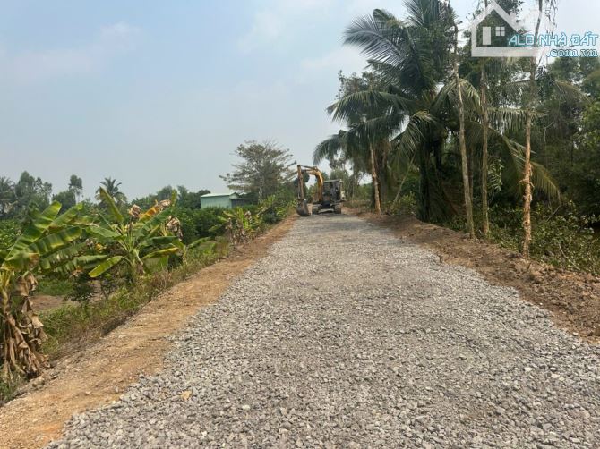 1000m2 vườn view kênh lớn đường ôtô 649 triệu Tân thành_Thủ Thừa Long An rẽ ( có 4000m2) - 6