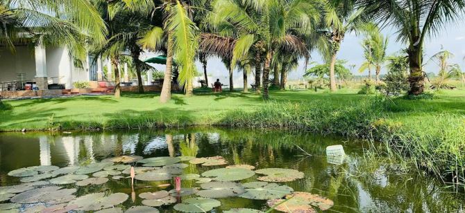 Nhà vườn nghỉ dưỡng xã Trung Lập Hạ, Củ Chi tổng dt 6000m2 có 86m2 thổ 3pn 2wc giá 10,8 tỷ - 6
