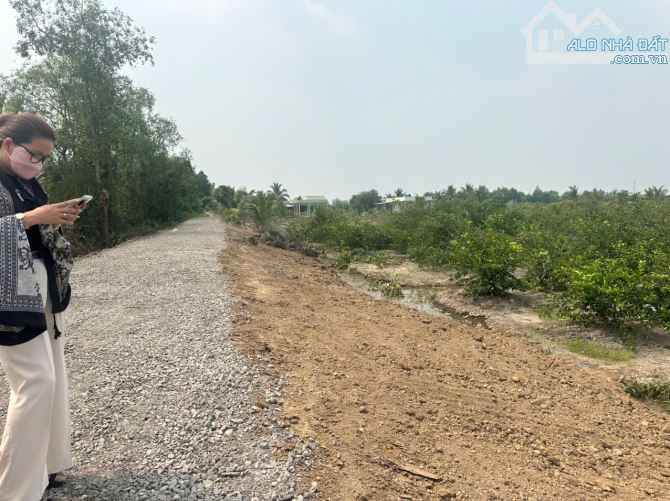 1000m2 vườn view kênh lớn đường ôtô 649 triệu Tân thành_Thủ Thừa Long An rẽ ( có 4000m2) - 7