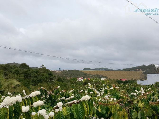 Đất nền nghỉ dưỡng ở Ninh Gia-Đức Trọng-Lâm Đồng - 6