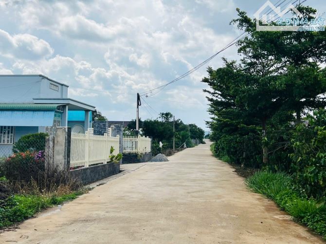 Cần bán nhà vườn xã Liên Hiệp - huyện Đức Trọng - 3