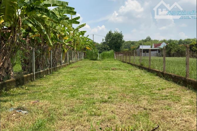 Bán đất Củ Chi, lô đất 1 sẹc ngắn đường Trung Lập, 212m2 full thổ cư, xã Trung Lập Thượng.