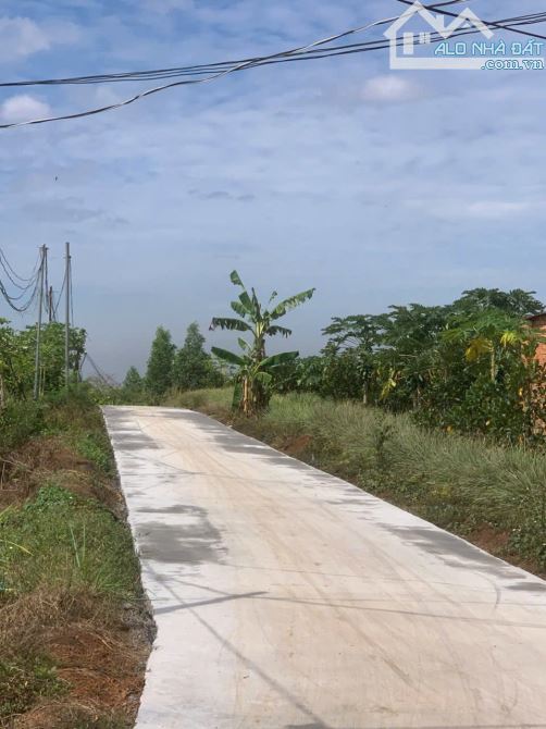 Chủ cần tiền đi Mỹ bán 5 sổ 2ha đấtsân bay  Đồng Nai