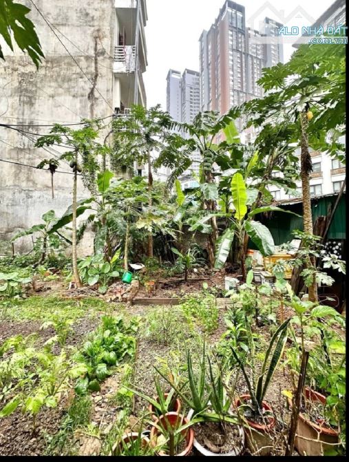 45.5 tỷ / 157 m2/ 9.1 M2/ Lê văn Lương/ Ô tô chánh