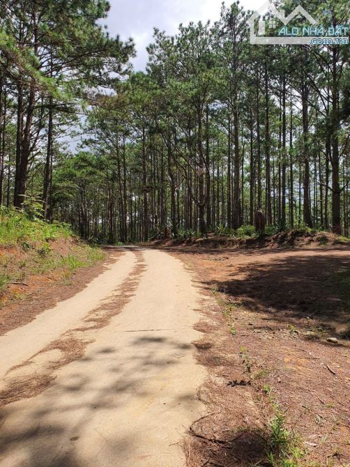BÁN LÔ ĐẤT 2000M² TAI XÃ TRẠM HÀNH, CẦU ĐẤT – ĐÀ LẠT Vị trí đắc địa. Thích hợp nghĩ dưỡng