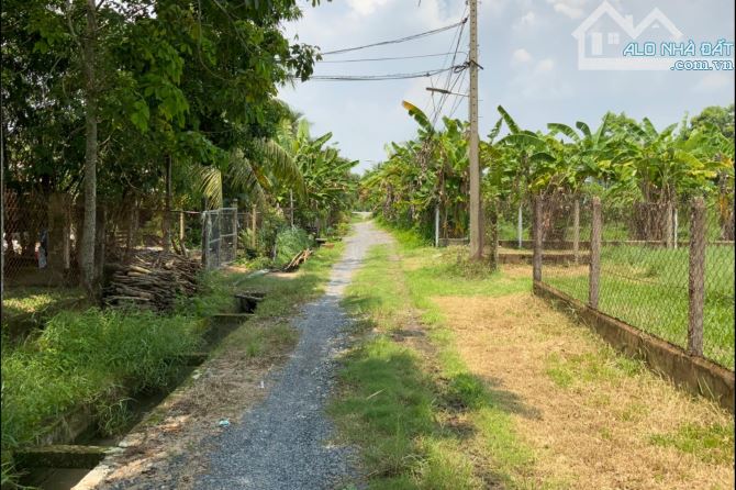 Bán đất Củ Chi, lô đất 1 sẹc ngắn đường Trung Lập, 212m2 full thổ cư, xã Trung Lập Thượng. - 1