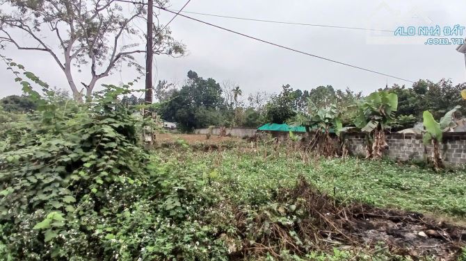 Cần bán 967m² ( 100m² ONT) tại Nhuận Trạch, Lương Sơn, Hòa Bình. - 1