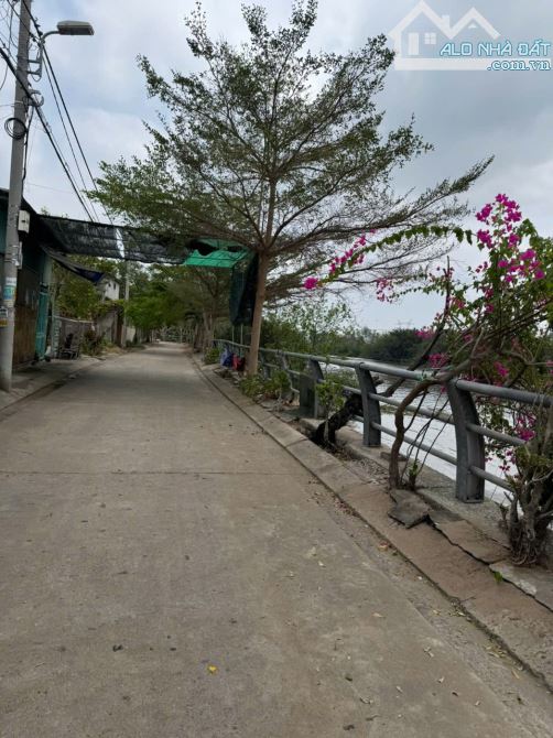 361,7m2(12,5x29) có sẳn 2 dãy trọ,thu nhập 36tr.tháng,gần 3 Trường ĐH Tài Nguyên.. - 1