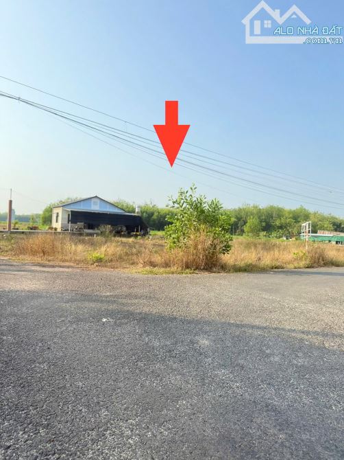 Cần bán lô đất tỉnh Tây Ninh 450 tr - 1