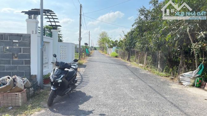 🎉Cần bán lô đất khu vực phước Hải mới Đất Đỏ- BRVT ✅Dt 5,3 x26 (138,3 m2) 100tc - 1