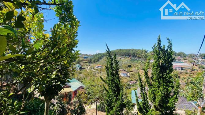 Đất 2 Mặt tiền không che view Hoàng Hoa Thám - P10 Đà Lạt. Gía 12 tỷ ~479m2 - 3
