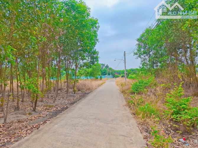 LÔ ĐẤT ĐẸP NGAY CỔNG TRƯỚC SÂN BAY LONG THÀNH, SẴN THỔ CƯ, CÁCH CỔNG CHÍNH  SÂN BAY 1KM - 2