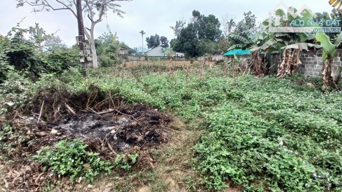 Cần bán 967m² ( 100m² ONT) tại Nhuận Trạch, Lương Sơn, Hòa Bình. - 2