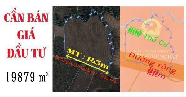 Chủ cần tiền đi Mỹ bán 5 sổ 2ha đấtsân bay  Đồng Nai - 2