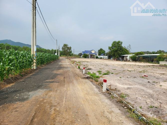 Bán gấp đất tại Thị trấn Phước Hải Hồ Bút Thiền, 1,25 tỷ, 218m2, mặt tiền 5m, đường vào 8m - 2