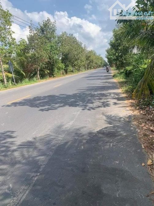 Bán hơn 1 mẫu đất mặt tiền đường trương vĩnh trọng lộ nhựa 10m - 2