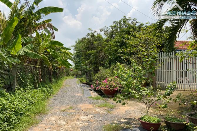 Bán đất Củ Chi, lô đất 1 sẹc ngắn đường Trung Lập, 212m2 full thổ cư, xã Trung Lập Thượng. - 3