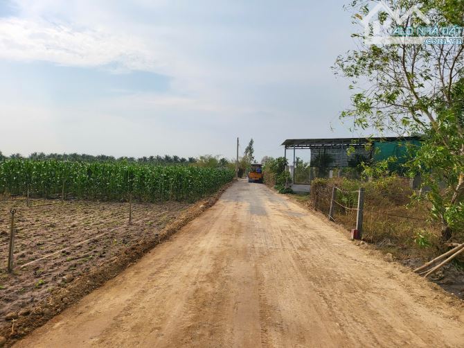 Bán gấp đất tại Thị trấn Phước Hải Hồ Bút Thiền, 1,25 tỷ, 218m2, mặt tiền 5m, đường vào 8m - 4