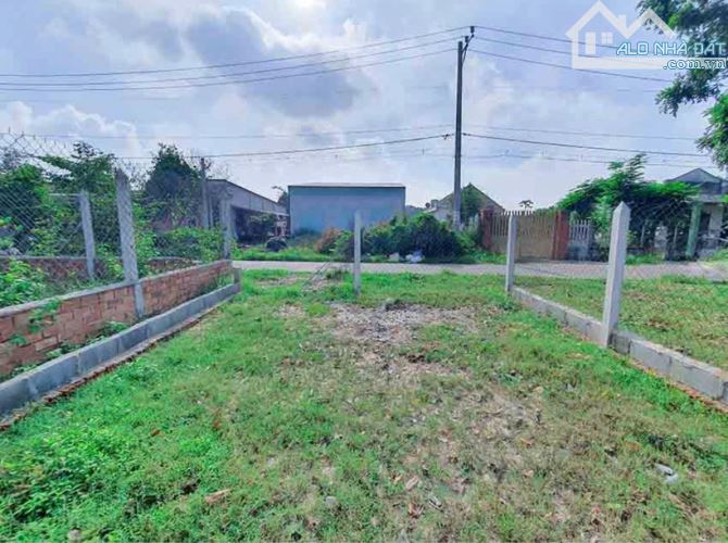 CẦN RA GẤP ĐẤT 5,2X23M THỔ CƯ 100% + ĐƯỜNG NHỰA + HÀNG RÀO ĐẦY ĐỦ GIÁ 790 TRIỆU - 4