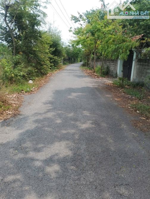 Bán lô mt đường nhựa Trần Thị Liêng, dt 3.625m2, QH khu dân cư, xã Nhuận Đức. - 4