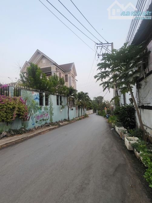 61m2 full thổ, hẻm 6m xe hơi né, không QH, Trương Vẵn Vĩnh, Tân Bình, Dĩ An - 4