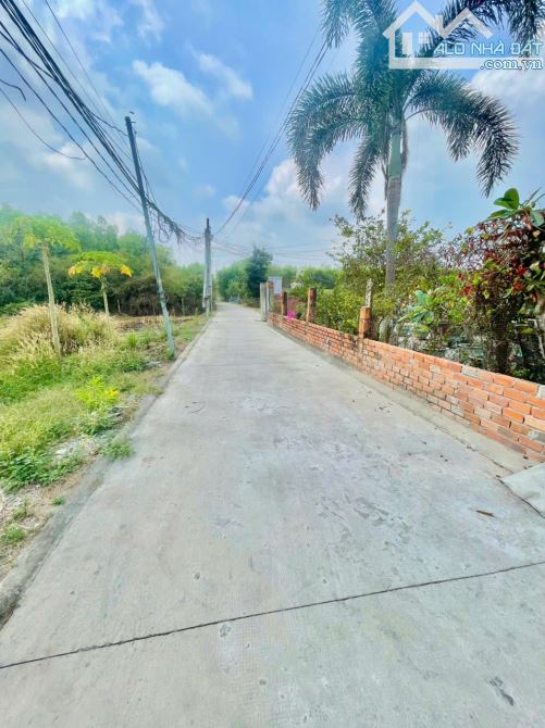 Hạ giá bán lỗ đất thổ nhà vườn Nhơn Trạch, oto, khu dân cư, giá rẻ 6ty/1754m,SR chính chủ - 5