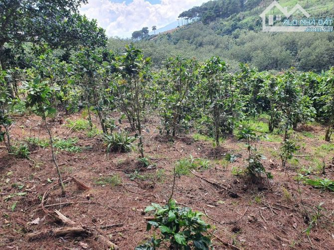 BÁN LÔ ĐẤT 2000M² TAI XÃ TRẠM HÀNH, CẦU ĐẤT – ĐÀ LẠT Vị trí đắc địa. Thích hợp nghĩ dưỡng - 8
