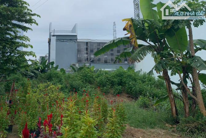 Bán đất đường Hồ Trung Lượng, Phường Hòa Xuân, Quận Cẩm Lệ, 100 m2, Giá: 5.00 tỷ