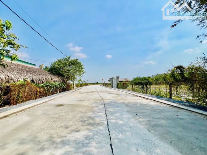Bán lô đất 3115m2 siêu đẹp tại xã Phú Mỹ Hưng, Củ Chi, đường nhựa to đẹp gần khu dân cư