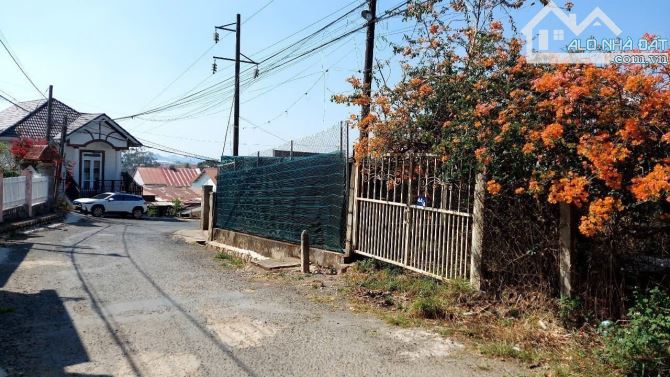 Giảm sốc đất BIỆT THỰ - P7- Đà lạt - đường nhựa 8m~ 500m2 ~14 tỷ- view thông đep