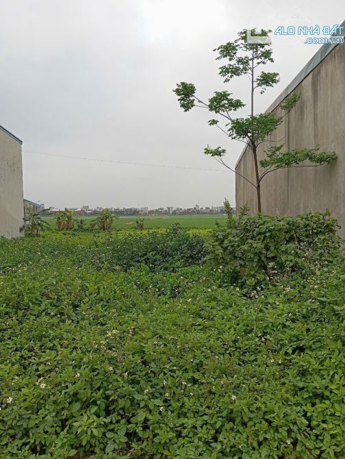Cần Bán Lô Đất Vị Trí Đẹp Xã Vũ An, Huyện Kiến Xương, TP Thái Bình - 1