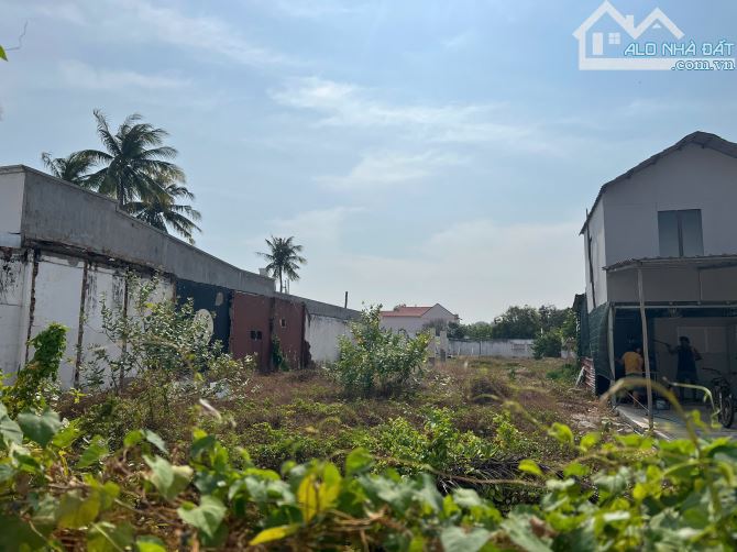 Cần bán Lô đất đẹp Hàm Tiến, Phan Thiết ( giá đầu tư) - 1