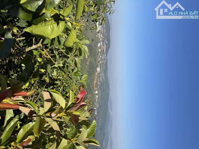 Chủ cần bán lô đất view săn mây xã Trạm Hành, Thành Phố Đà Lạt - 1