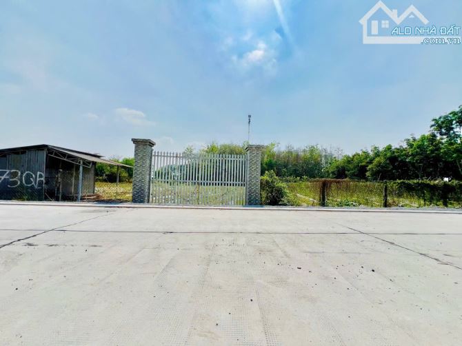 Bán lô đất 3115m2 siêu đẹp tại xã Phú Mỹ Hưng, Củ Chi, đường nhựa to đẹp gần khu dân cư - 1