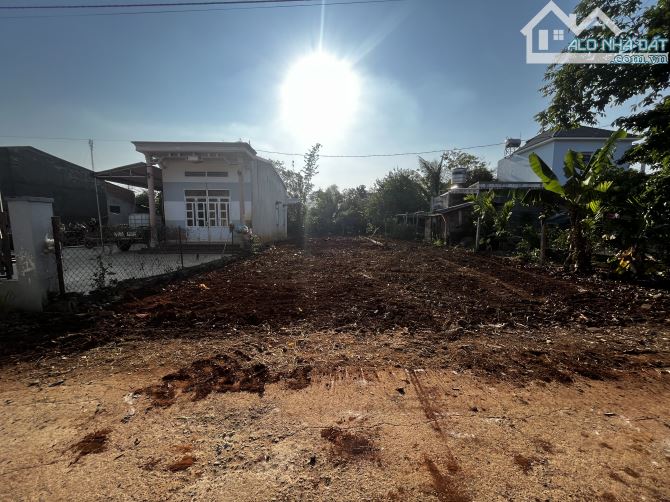 ĐẤT LÀM NHÀ VƯỜN HẺM CẤP 1 NGUYỄN XUÂN NGUYÊN: GIÁ 3.05 tỷ - 2