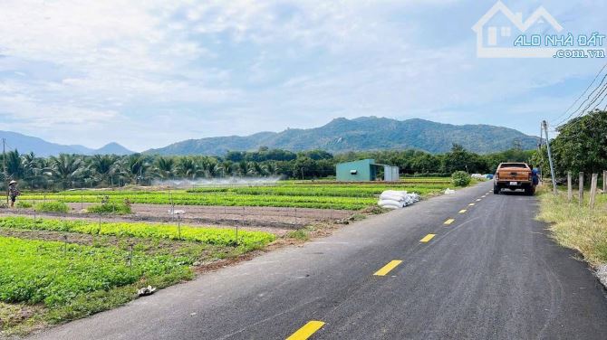 BÁN ĐẤT PHƯỚC HẢI ĐẤT ĐỎ BÀ RỊA VŨNG TÀU - 2