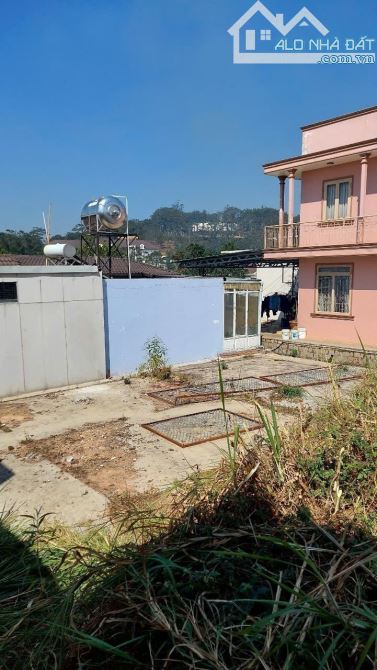 Giảm sốc đất BIỆT THỰ - P7- Đà lạt - đường nhựa 8m~ 500m2 ~14 tỷ- view thông đep - 4