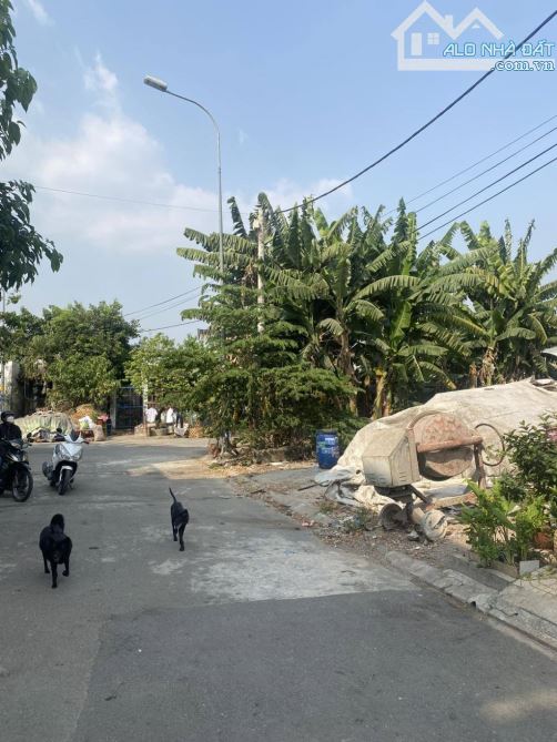 BÁN NHANH LÔ ĐẤT 85M2-GẦN CHỢ XUÂN THỚI THƯỢNG- HÓC MÔN- GIÁ ĐẦU TƯ - 3