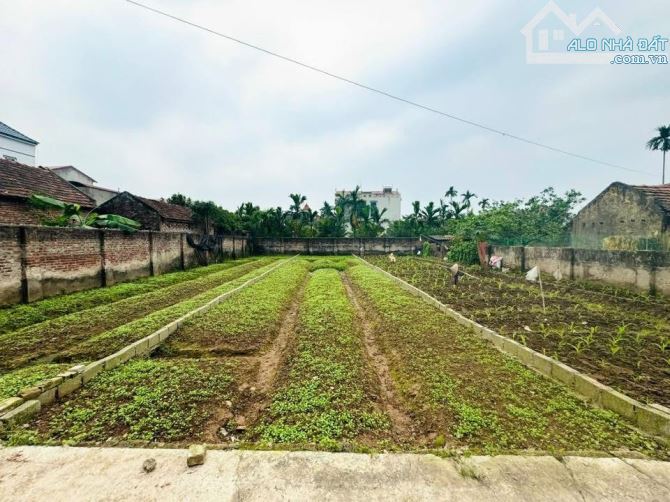 Cần bán đất đẹp 128,6m tại Bãi sậy 2 Tân dân - 3