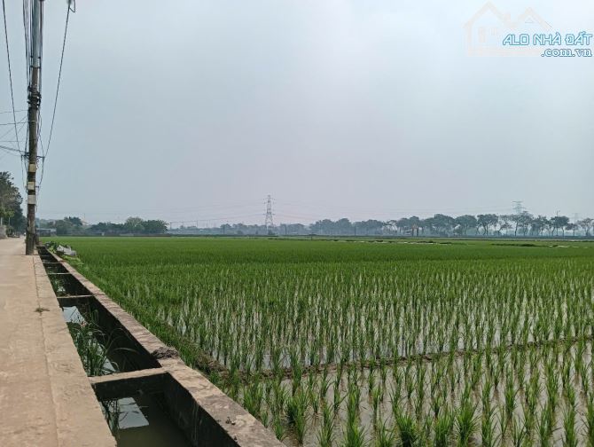Bán đất bìa làng nhìn ra cánh đồng xã Dục Tú - nằm sát đường dẫn lên cầu Tứ Liên. - 3