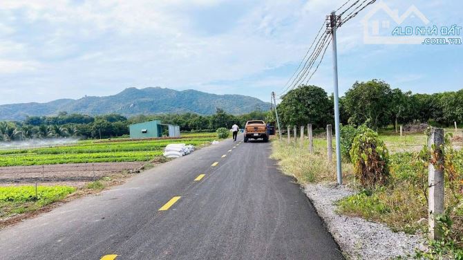 BÁN ĐẤT PHƯỚC HẢI ĐẤT ĐỎ BÀ RỊA VŨNG TÀU - 4