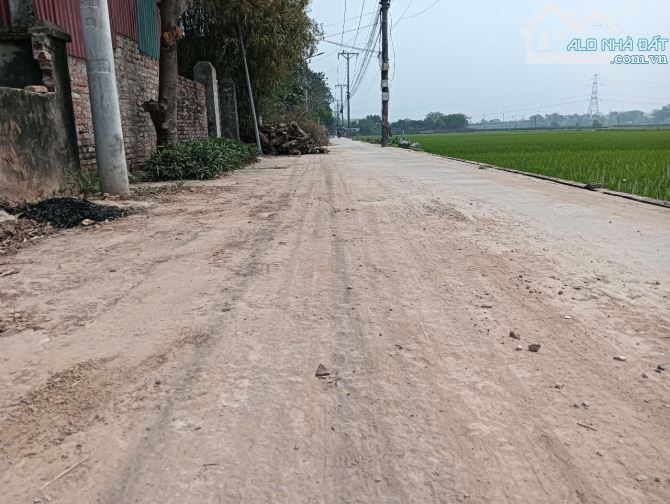 Bán đất bìa làng nhìn ra cánh đồng xã Dục Tú - nằm sát đường dẫn lên cầu Tứ Liên. - 4