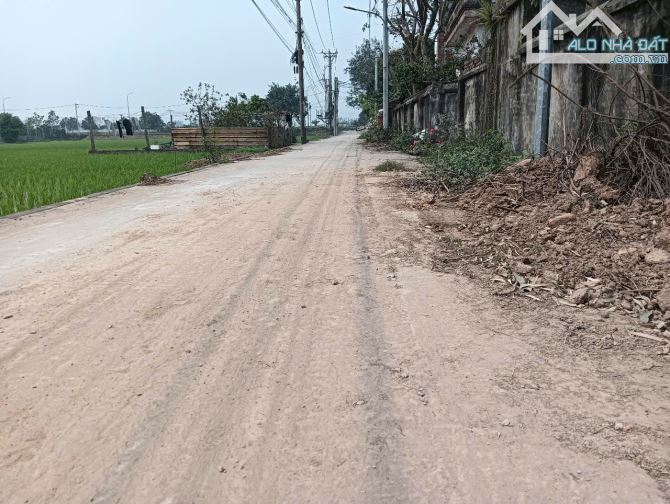 Bán đất bìa làng nhìn ra cánh đồng xã Dục Tú - nằm sát đường dẫn lên cầu Tứ Liên. - 5