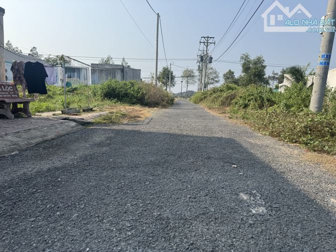 Nhà Nhánh Nhựa Ql60 Trục Thẳng - 8