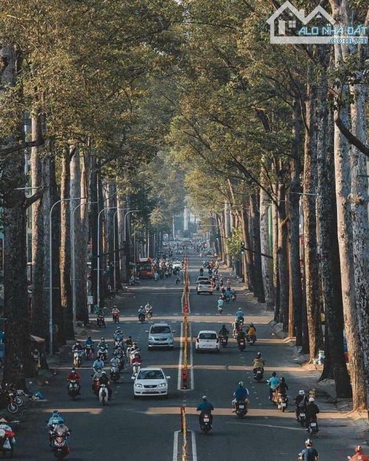 Hiếm! Ngang 5m! Căn Kế Góc Sẵn Kết Cấu! Nở Hậu Phong Thuỷ! MT Nguyễn Chí Thanh Quận 10!
