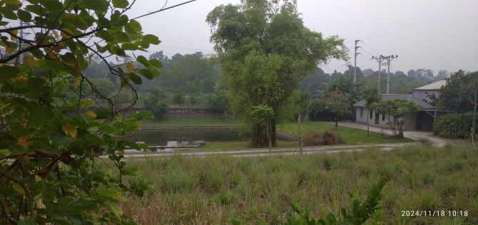 Cần bán lô đất Quốc Oai 2500m2, 3 mặt tiền, đường ô tô vào tận đất