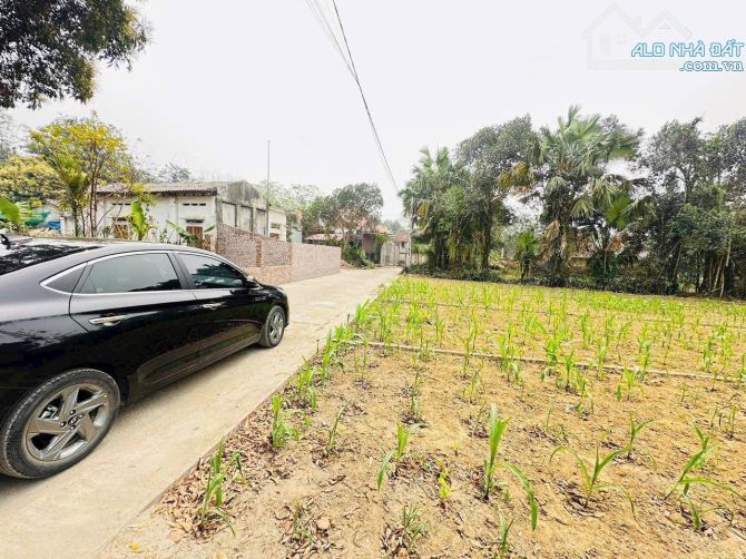 Chỉ hơn 500 có ô đất trung tâm Vạn Xuân - Tam Nông