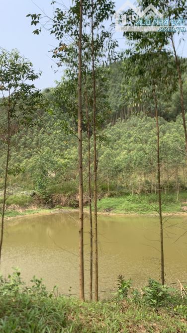 siêu rộng, 4,9ha Yên Thế, Bắc Giang, 800TC, 4 tỷ