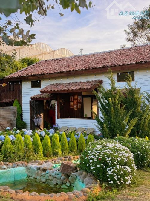 cần bán lô đất làm căn nhà nhỏ cùng sân vườn đầy hoa tại tp Đà Lạt. 523m² 👉 6ty5